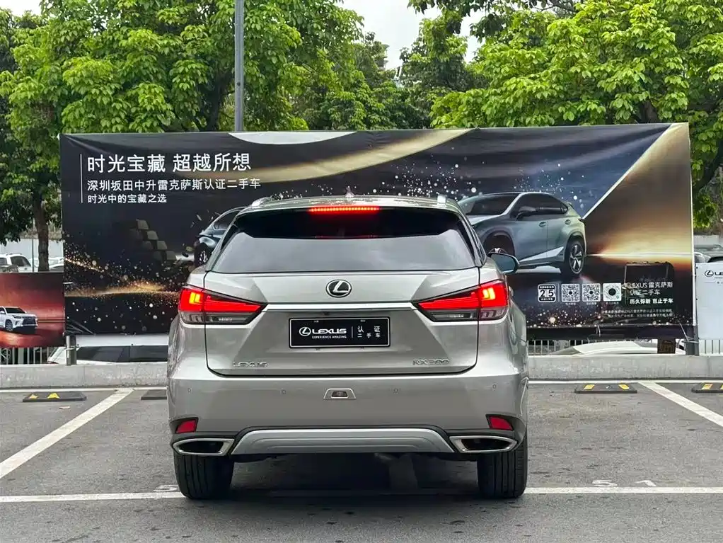 Lexus RX 2020 300 AWD Elegance Edition China V фото 14