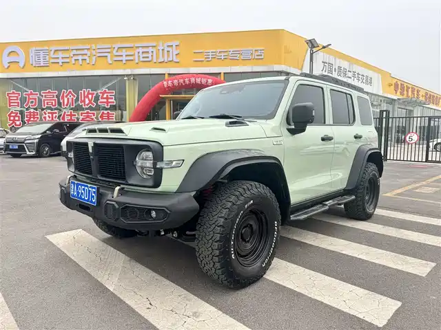Tank 300 2.0T, Wind Forest, Всадник