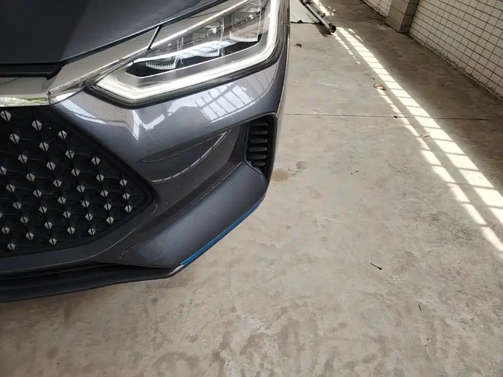 BYD e2 2021 2020 Upgraded Long Range Luxury