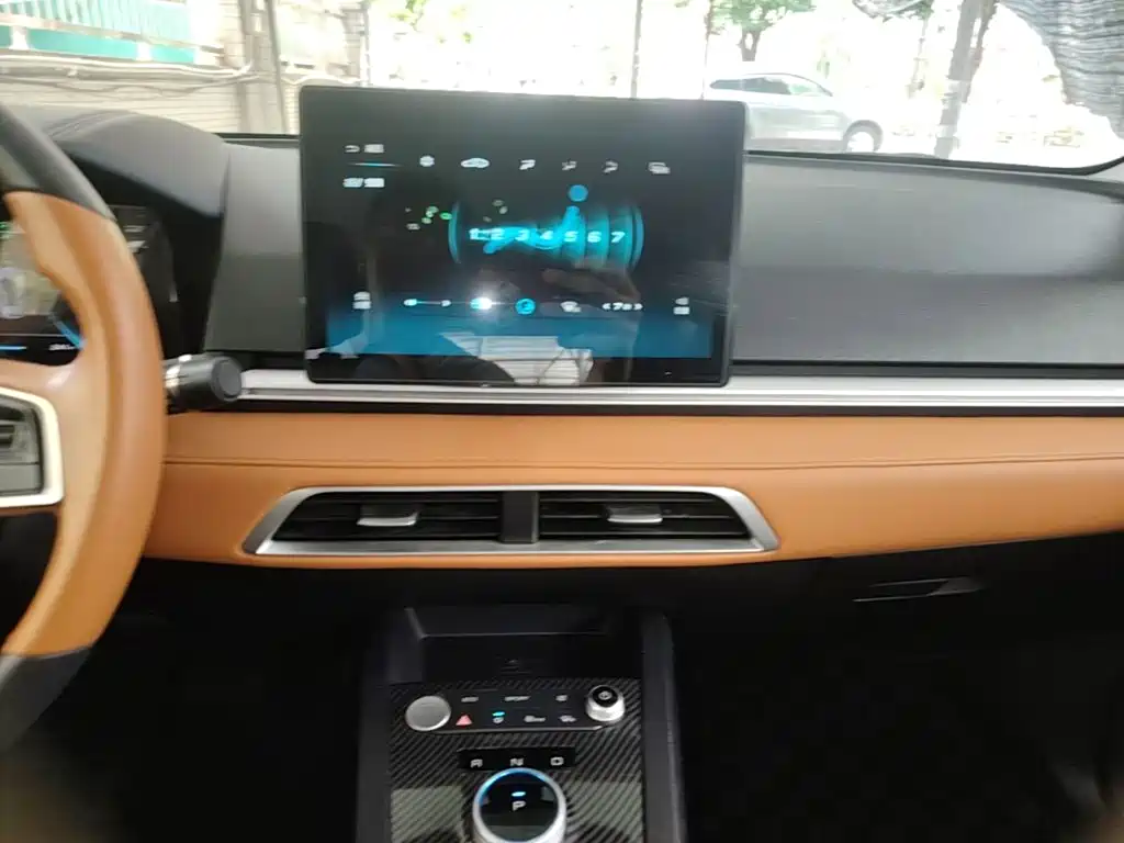 BYD e2 2021 2020 Upgraded Long Range Luxury