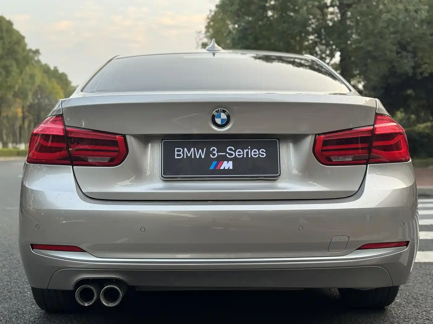 BMW 3 Series 2019 320Li Fashion Type фото 8