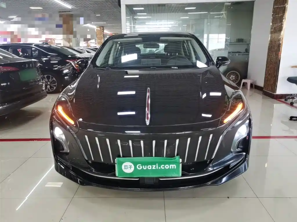 Hongqi E-QM5 2023 Facelift Basic Travel Edition фото 3