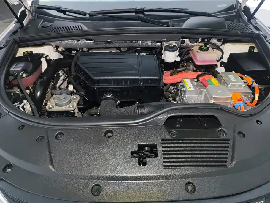 BYD Tang New Energy 2018 DM 2.0T Full-time 4WD Smart Connect Creation Edition 5-seater China V фото 10