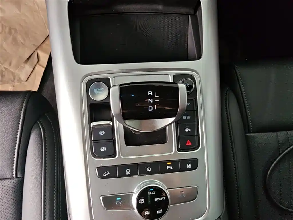 Denza X 2020 PHEV Sport Edition фото 14