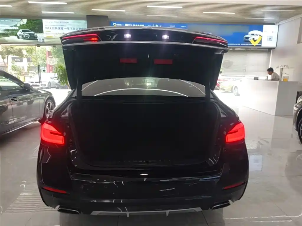 BMW 5 Series 2023 530Li Leading M Sport Package фото 19