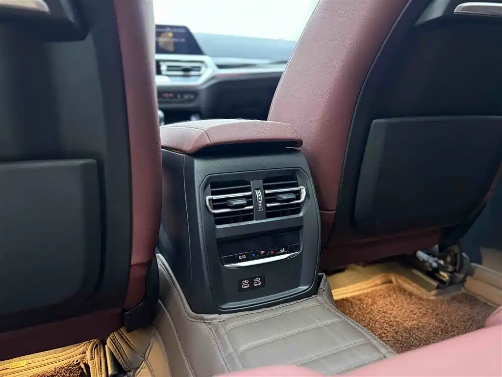 BMW 3 Series 2021 320Li M Sport Package фото 27