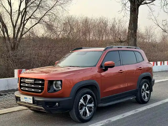 Haval Big Dog 2021 1.5T DCT 2WD Labrador Edition