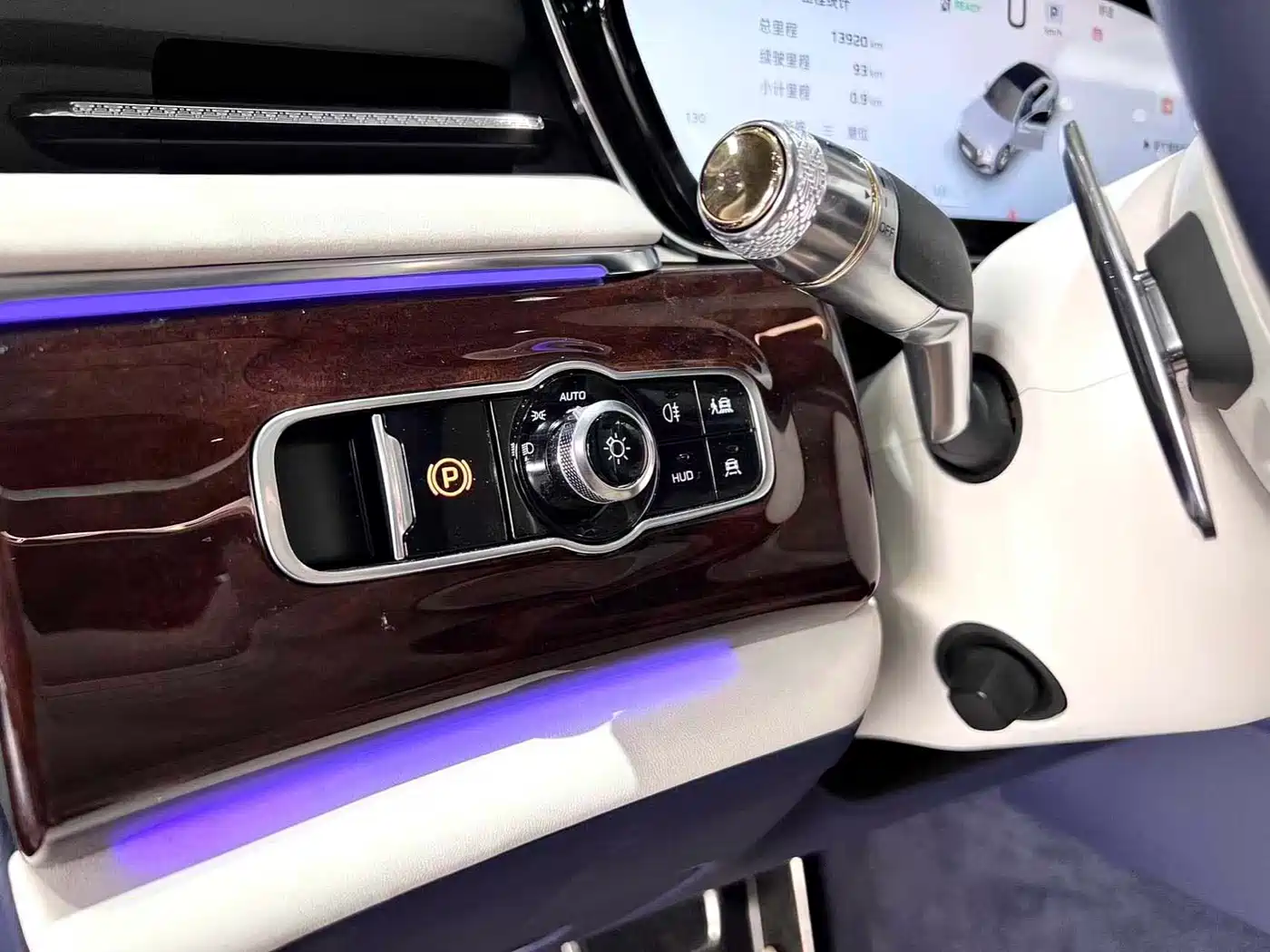 Hongqi Guoya 2024 4.0T V8 Version фото 18