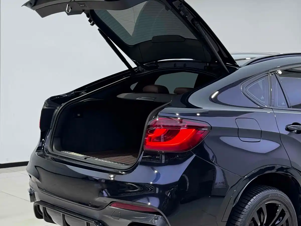 BMW X6 2017 xDrive35i Luxury фото 15