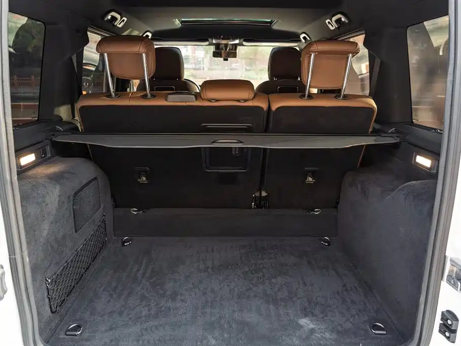 Mercedes-Benz G-Class 2023 G 350 фото 23