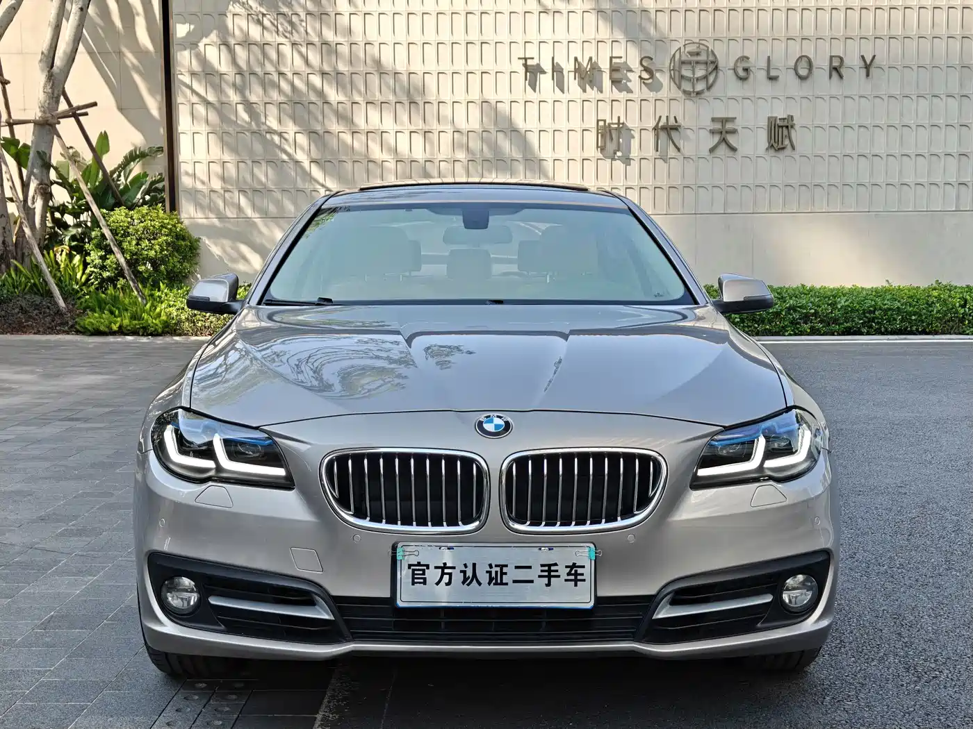 BMW 5 Series 2013 520Li Elegance фото 2