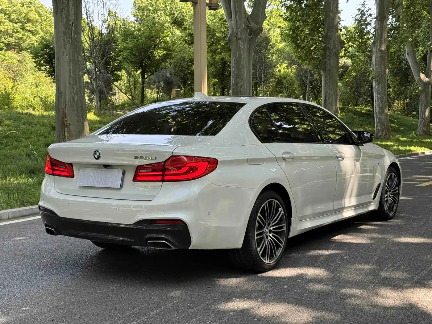 BMW 5 Series 2019 530Li Leading M Sport Package фото 14