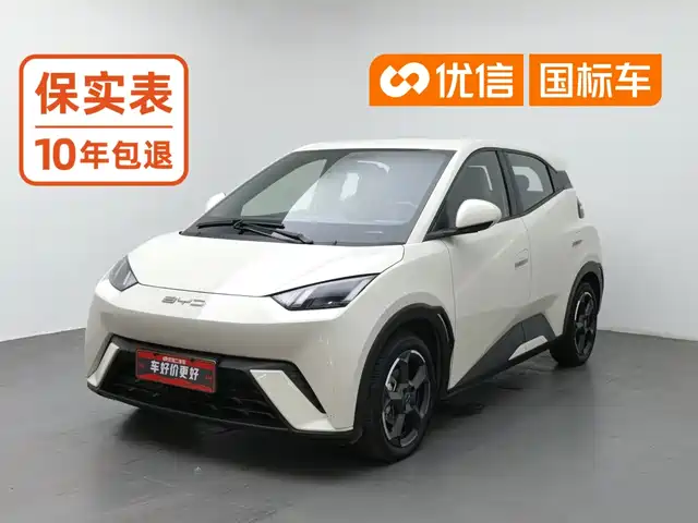 BYD Seagull Полёт