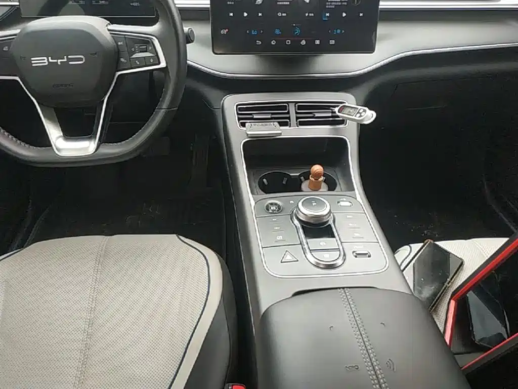 BYD Destroyer 05 2024 Glory Edition DM-i 55KM Luxury фото 14