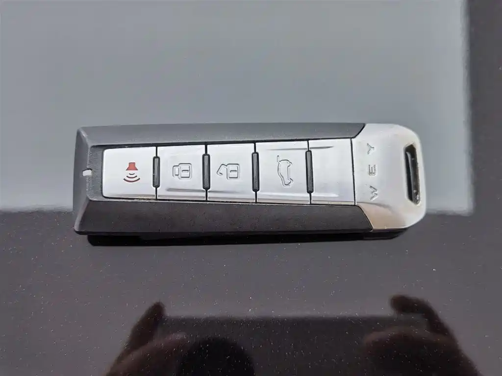 WEI PAI WEI BRAND VV5