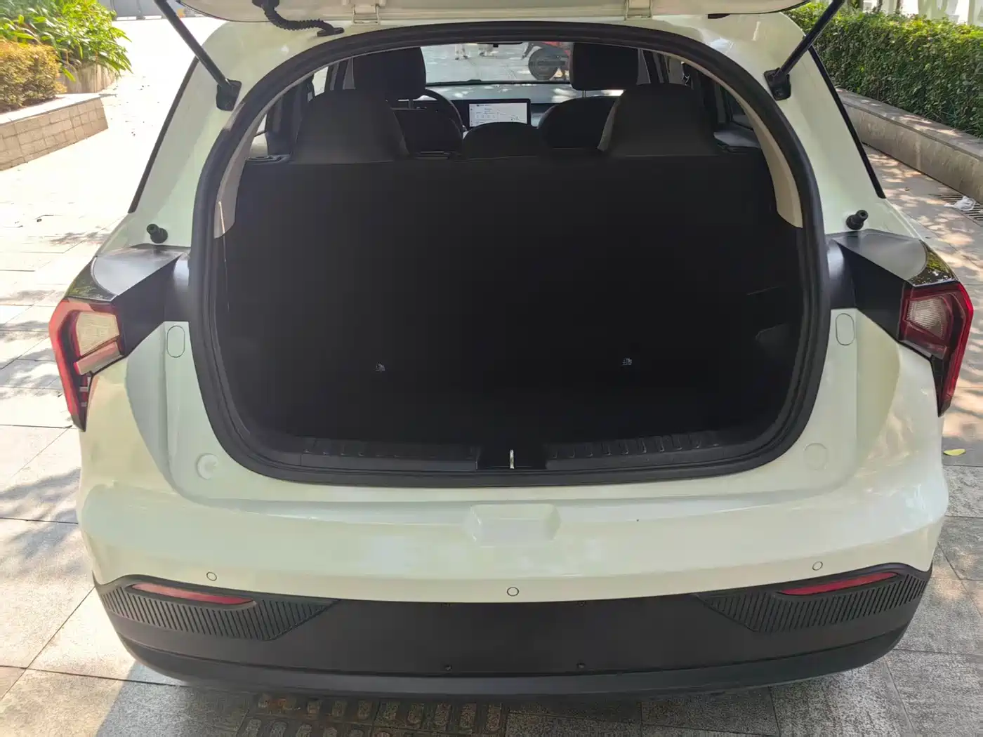 Geely Geometry E Firefly 2024 2023 401KM Thunderbolt Tiger 5-Seater