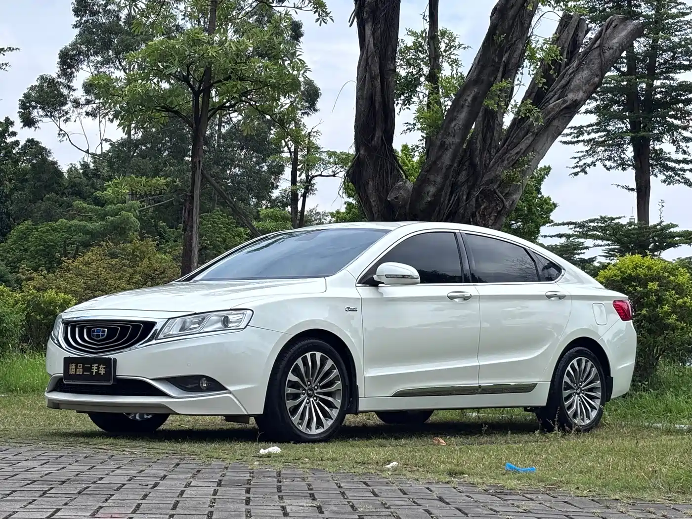 Фото 2 - Geely Borui
