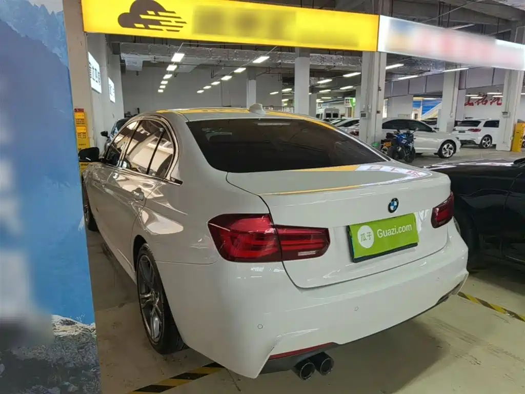 BMW 3 Series 2019 320Li M Sport Black Night Edition фото 5