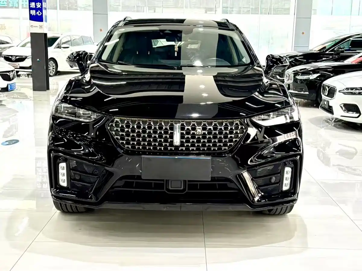 WEI PAI WEI BRAND VV7