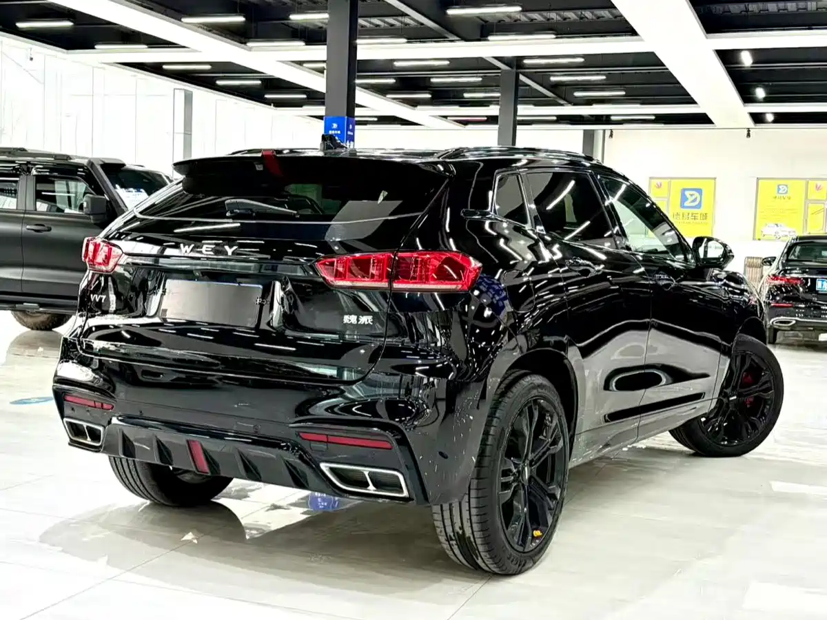 WEI PAI WEI BRAND VV7