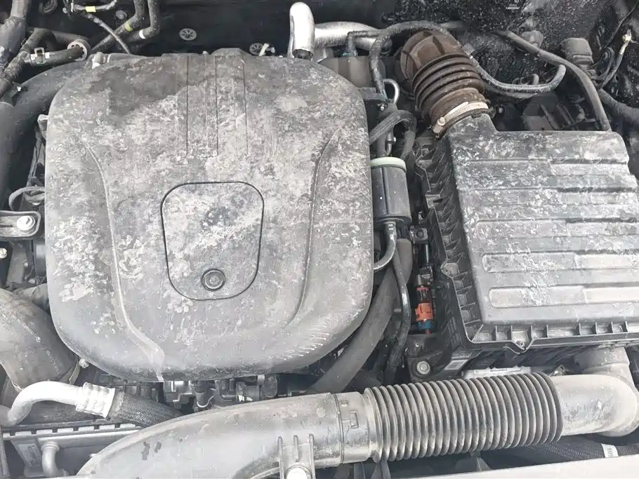 HAVAL RAPTORS NEW ENERGY