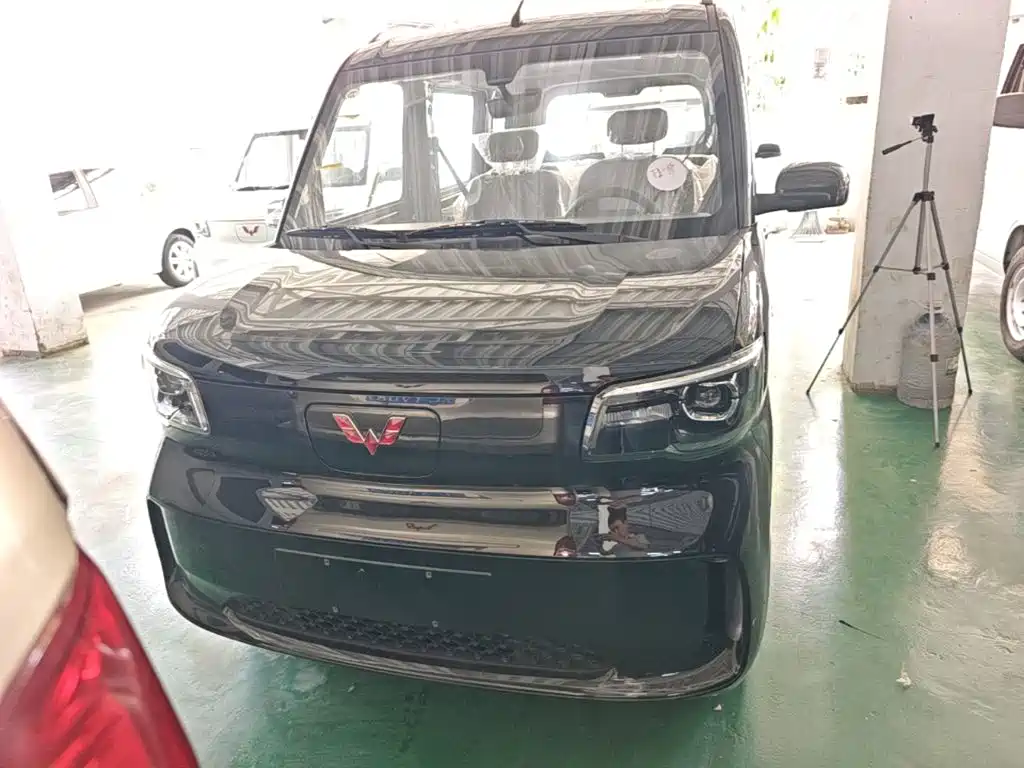 2026 Wuling Motors Wuling Zhiguang NEV