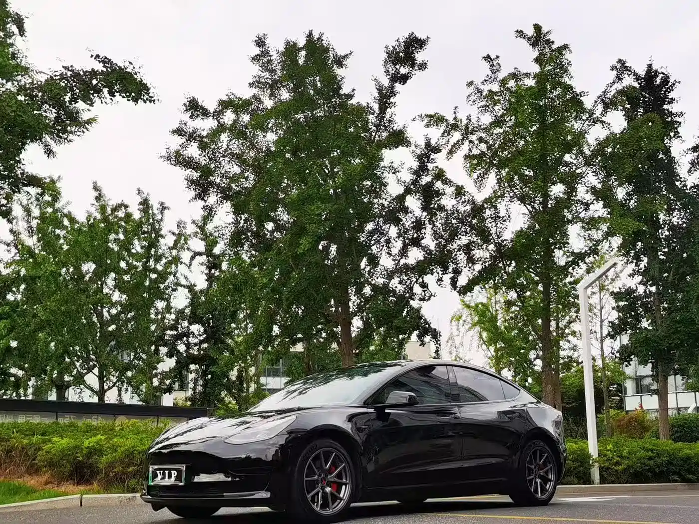 Tesla Model 3 2022 Model Rear-Wheel Drive Version