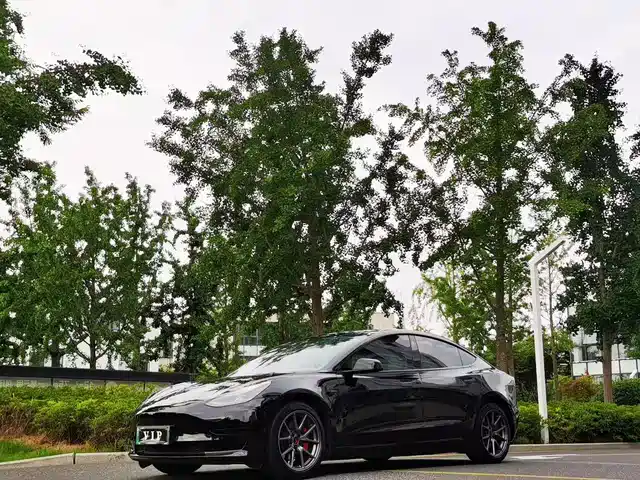 Tesla Model 3 2022 Model Rear-Wheel Drive Version
