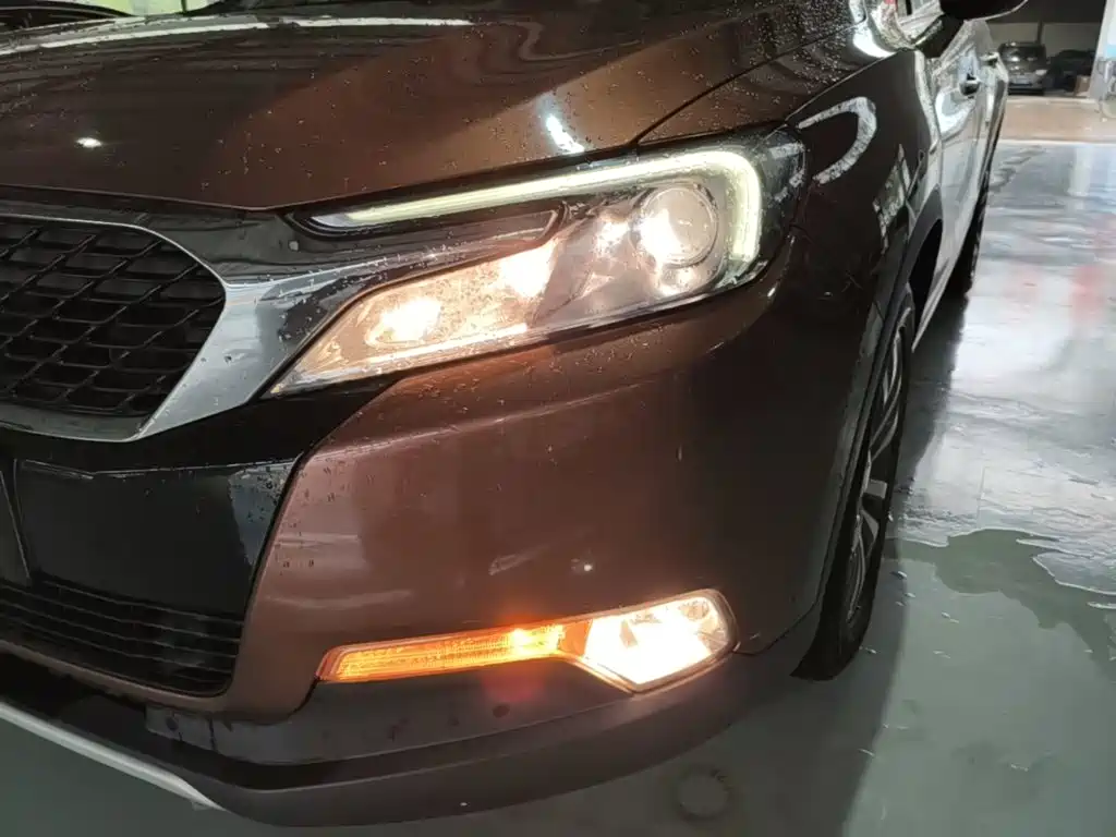 DS 6 2017 2016 1.6T Luxury THP160