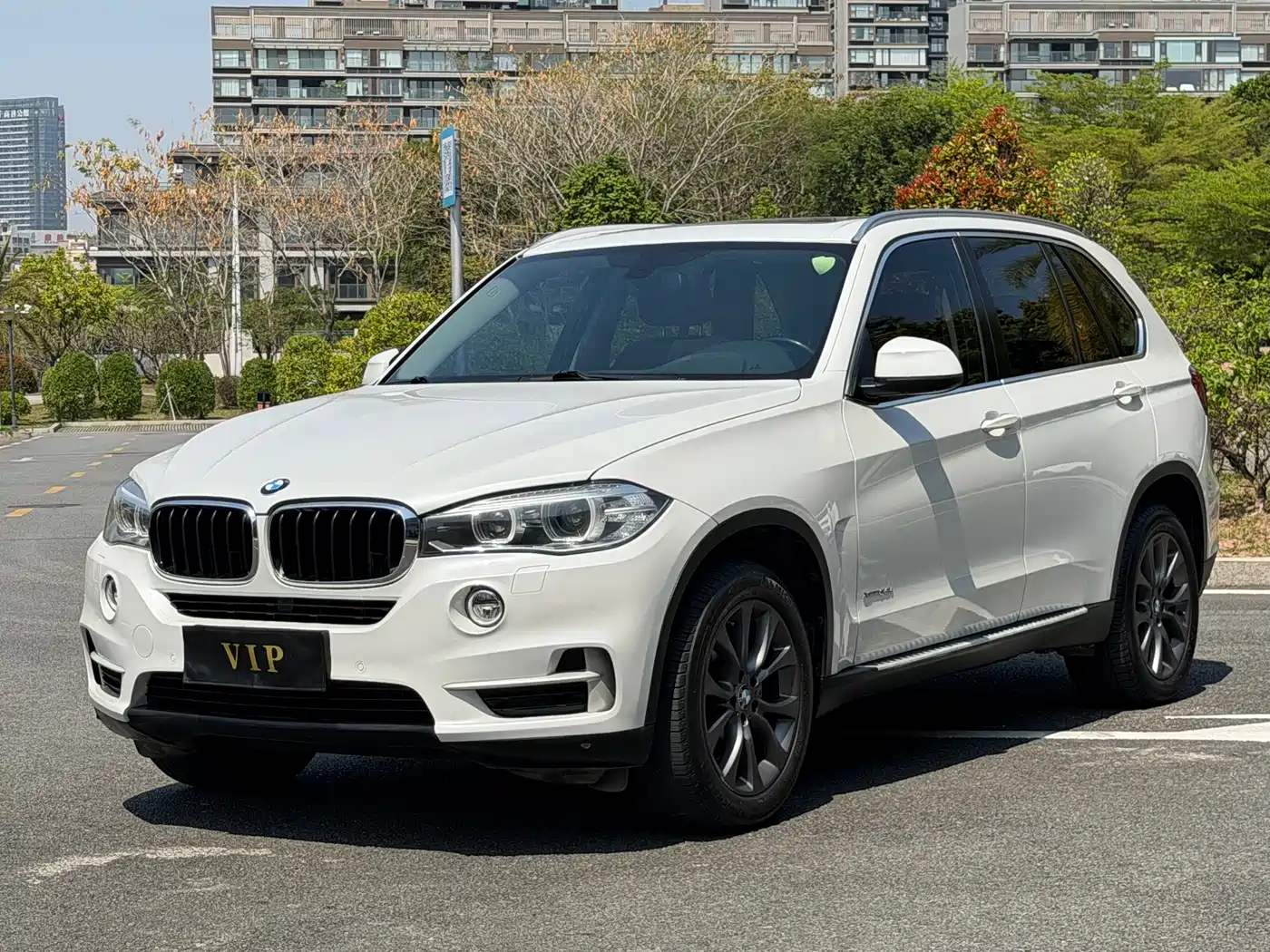BMW X5 (Import) 2014 xDrive35i Leading фото 2