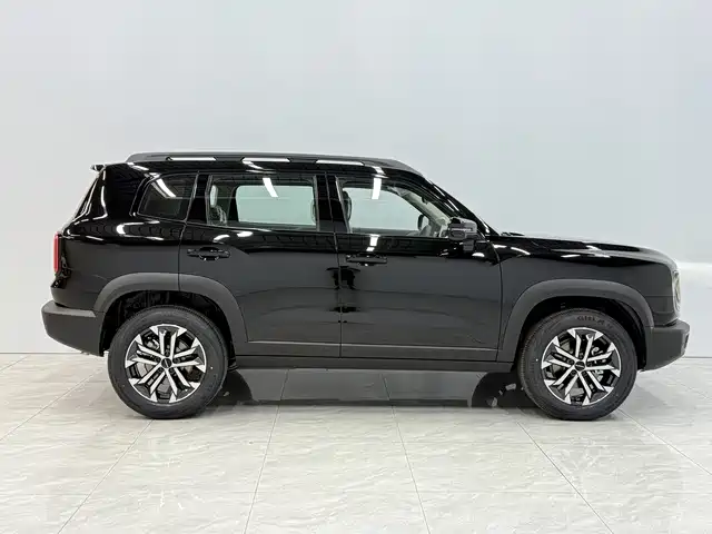 Haval Big Dog 2026 Model 1.5T High Configuration фото 7