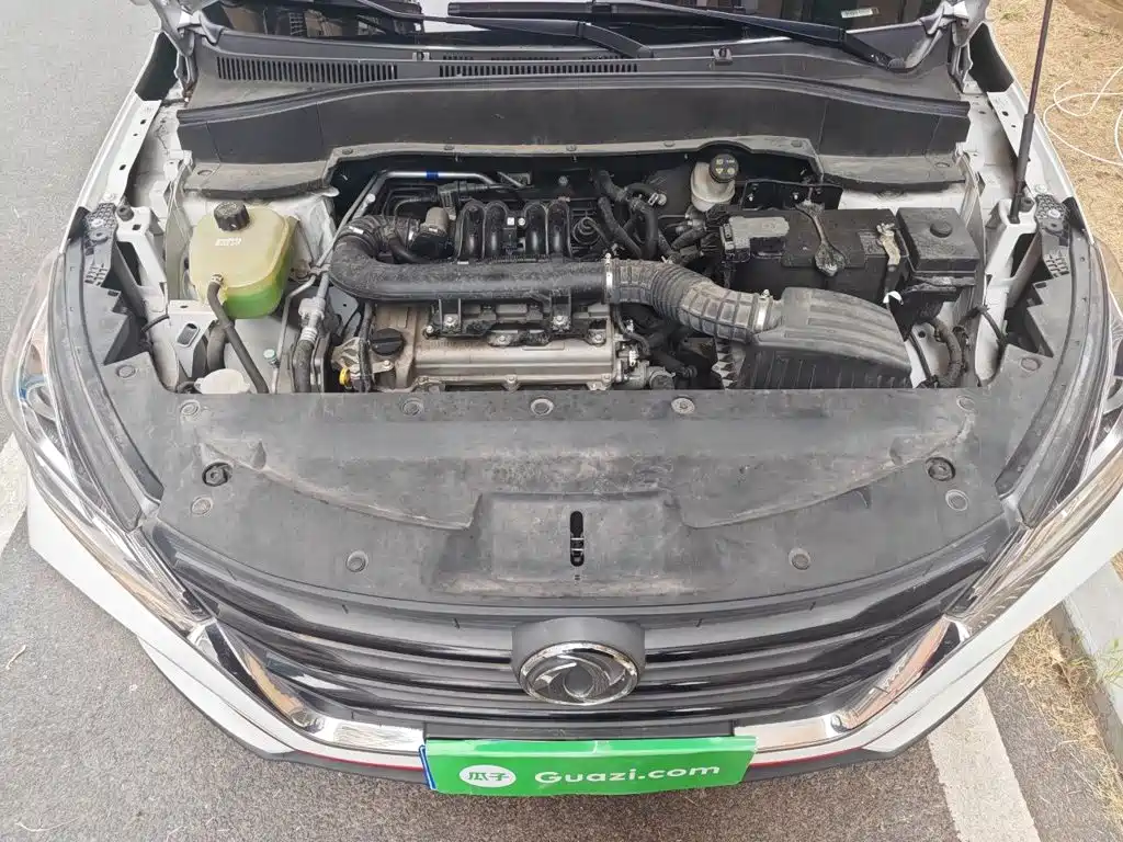 Dongfeng Fengguang Fengon 500 2021 2021 1.5L Manual Comfort