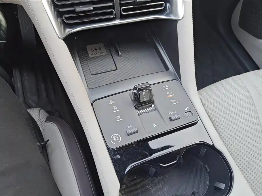 BYD SONGJIANG NEW ENERGY