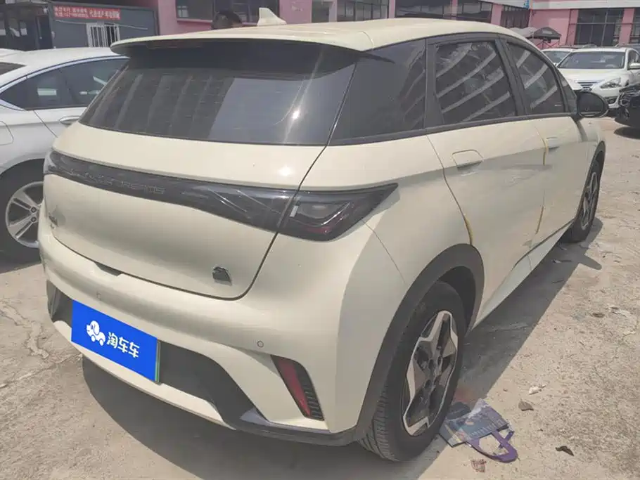 BYD Dolphin 2021 Model 405km Fashion Edition фото 3