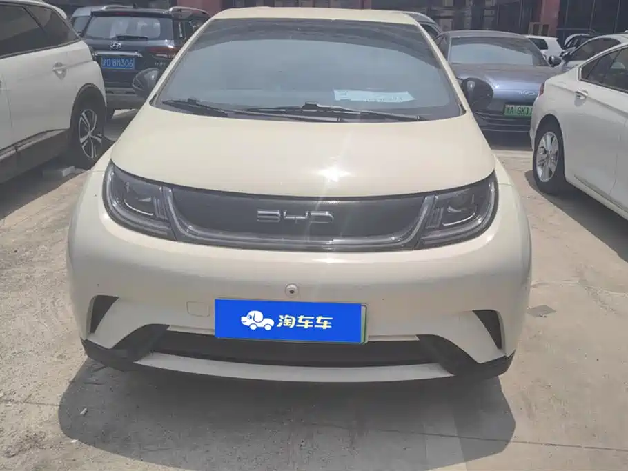 BYD Dolphin 2021 Model 405km Fashion Edition фото 2
