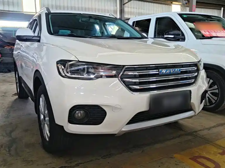 صورة 23 - Haval H2s