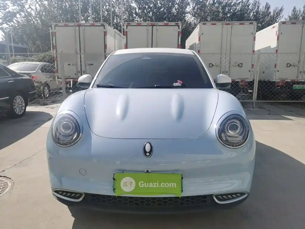 Ora Good Cat 2023 2022 400km Standard Range Luxury LFP
