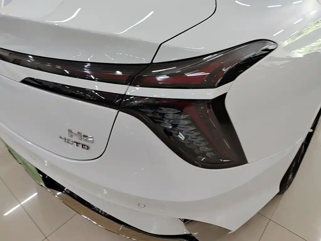 Фото 8 - Hongqi H6