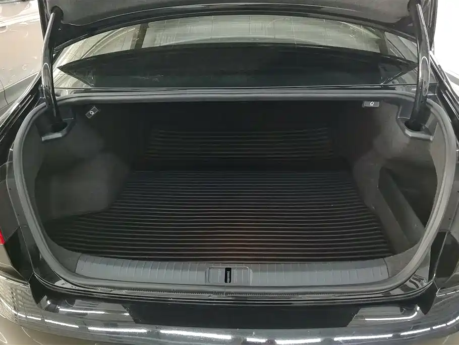 Volkswagen Magotan 2019 330TSI DSG Leading China V фото 4