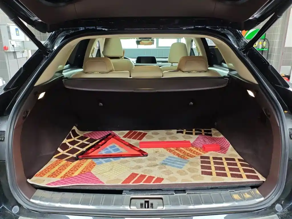 Lexus RX 2020 Facelift 300 AWD Elegance Edition фото 11