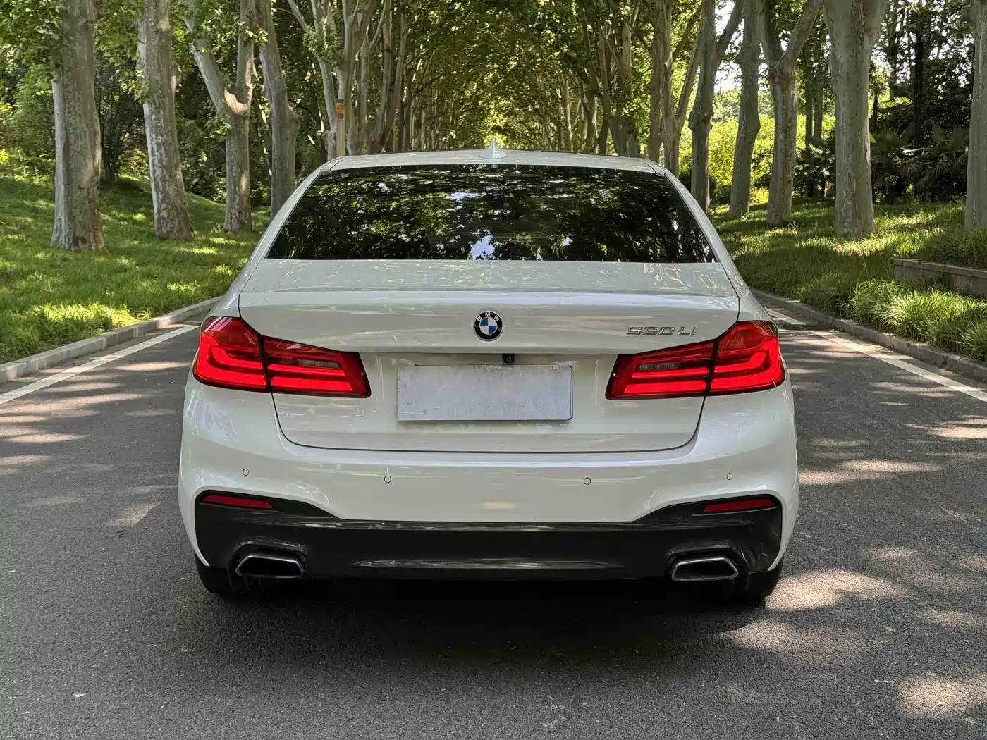 BMW 5 Series 2019 530Li Leading M Sport Package фото 13