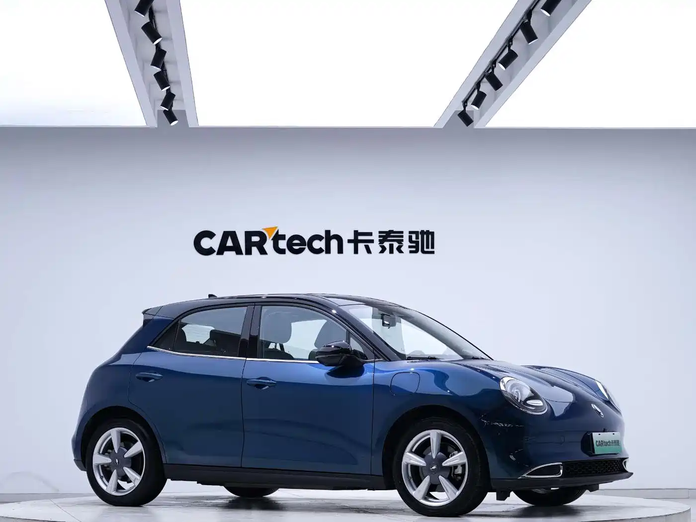 Ora Good Cat 2023 2023 401km Standard Range Premium LFP
