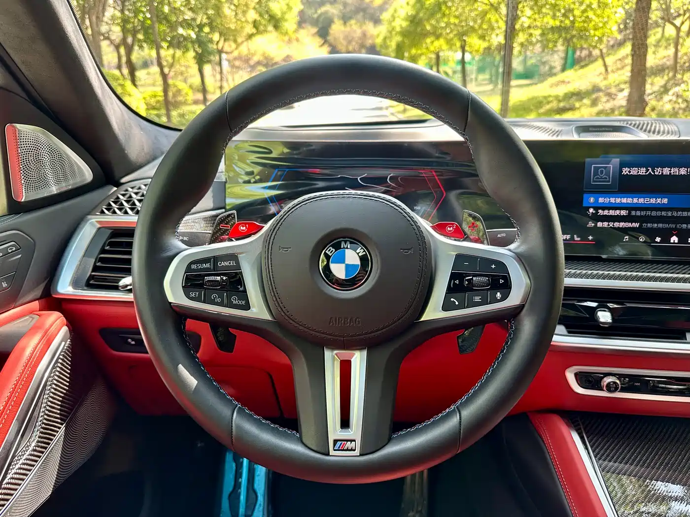 BMW X6 M 2023 Model X6 M Thunder Edition фото 18