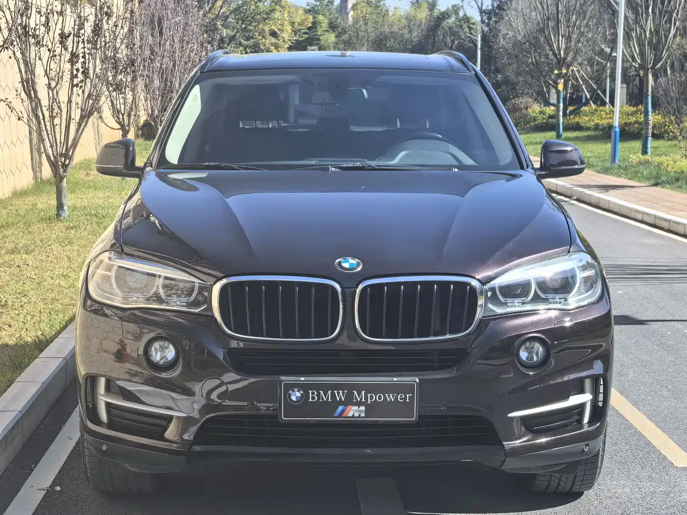 BMW X5 (Import) 2015 xDrive28i фото 23