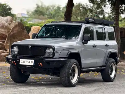 Tank 300
