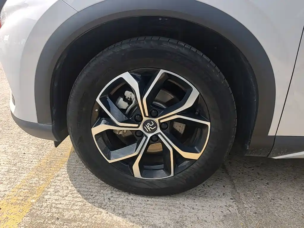 BYD Yuan PLUS 2025 2024 Glory Edition 430KM Leading