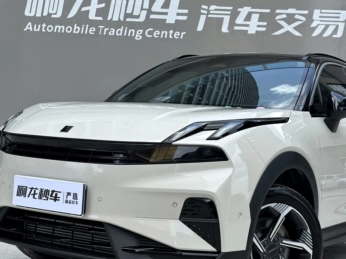 LYNK 06