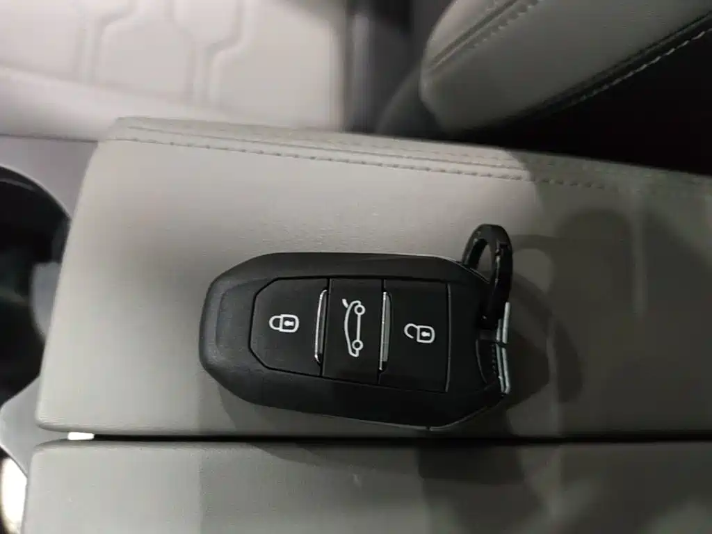 Фото 9 - Citroën Tianyi C5 AIRCROSS