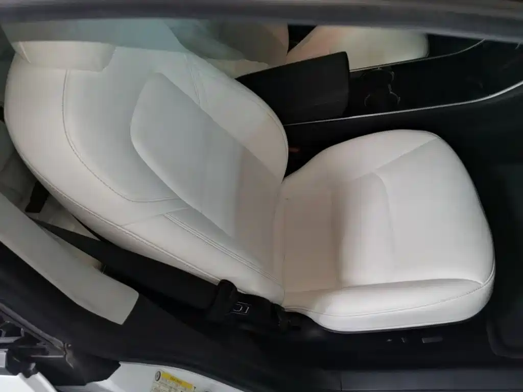Tesla Model 3 (Import) 2020 2019 Standard Range RWD Upgraded Edition