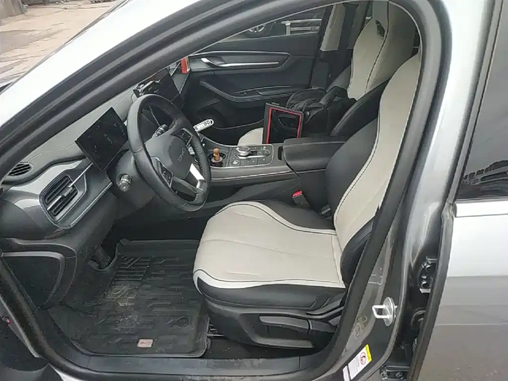 BYD Destroyer 05 2024 Glory Edition DM-i 55KM Luxury фото 15